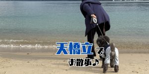 天橋立のアイキャッチ